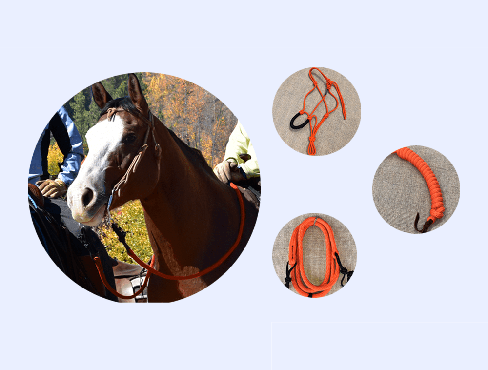 25% Off Colorful Rope Products While supplies last