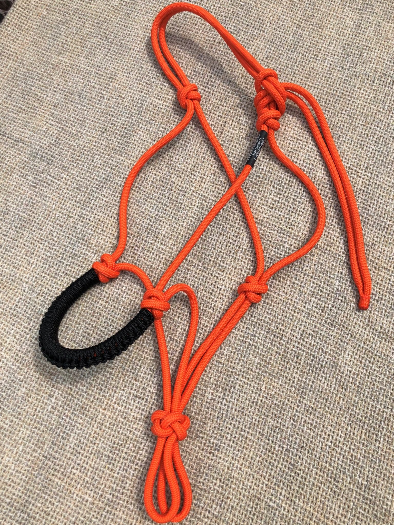 Orange halter with black round noseband