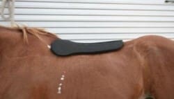 Long Shoulder Bridge Pad