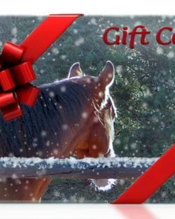 Gift card with horse on front, wrapped in a red bow
