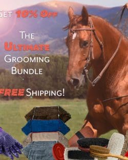 Get 10% off the Ultimate Grooming Bundle + Free Shipping!