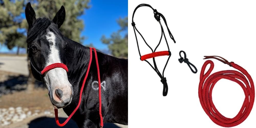 premium rope products block-halter-lead-lead clip